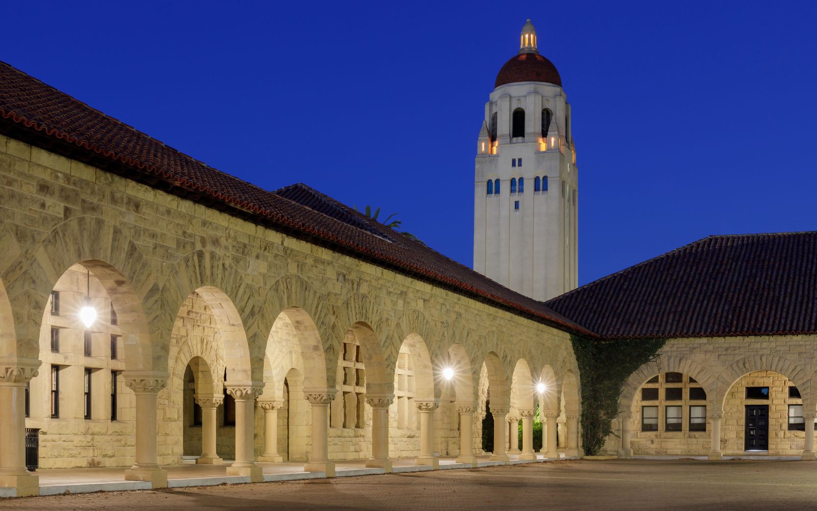 Stanford University green campus