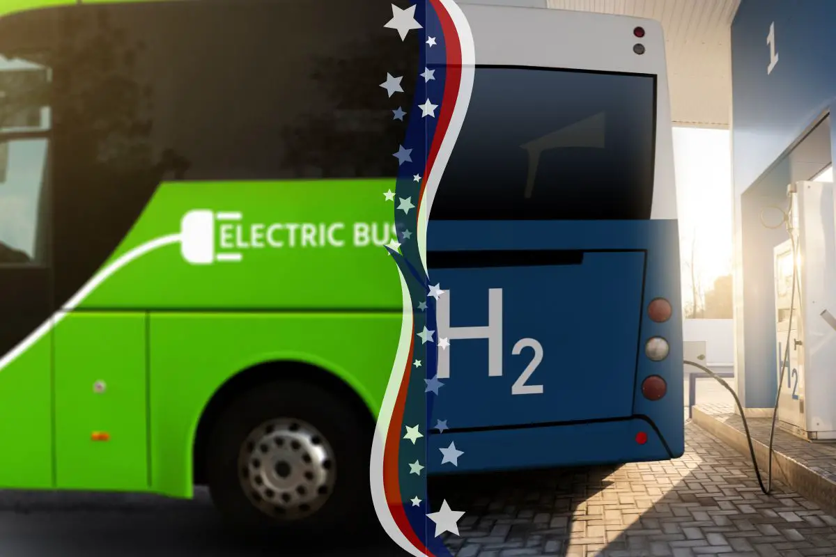 Hydrogen Buses and Electric Buses